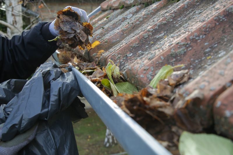 Gutter Inspection and Debris Removal